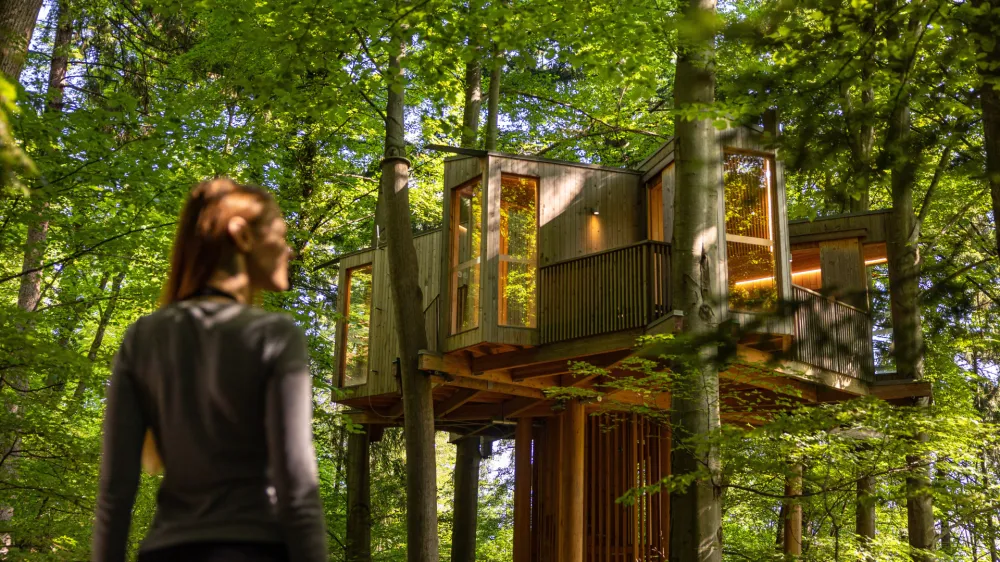 Drevesna hi&scaron;a v Celju z aprilom ponovno odprta za obiskovalce. F Rok deželak