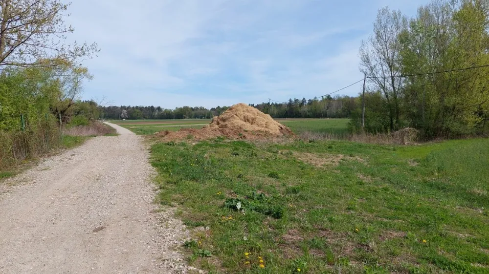 Truplo skoraj dva tedna pogre&scaron;ane 33-letne Sabine A. iz Markovcev je v kupu poko&scaron;ene trave v petek zvečer na&scaron;la naključna sprehajalka. 