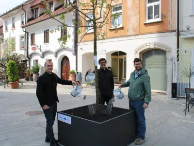 Direktor zavoda za turizem Klemen Malovrh, kranjski župan Matjaž Rakovec in predsednik Krajevne skupnosti Center Anže &Scaron;inkovec so simbolno zalili na novo postavljena drevesa. Foto: Roman Repnik<br>