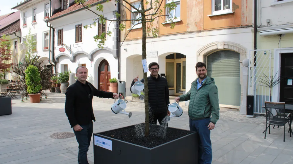 Direktor zavoda za turizem Klemen Malovrh, kranjski župan Matjaž Rakovec in predsednik Krajevne skupnosti Center Anže &Scaron;inkovec so simbolno zalili na novo postavljena drevesa. Foto: Roman Repnik<br>
