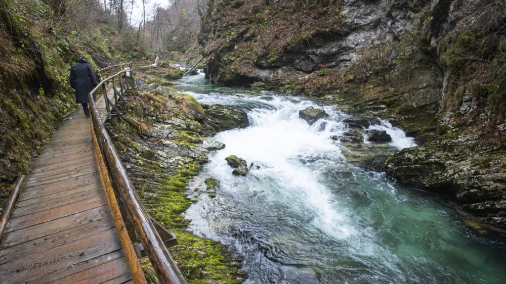 Gorje, soteska Vintgar.<br>Blejski vintgar je 1,6 km dolga soteska na Gorenjskem, skozi katero tece reka Radovna.