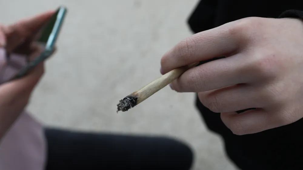 joint. - 18.04.2024. - Tradicionalni Marihuana mar&scaron; 2024, ki ga organizira &Scaron;tudentska organizacija Univerze v Ljubljani. FOTO: Bojan Velikonja