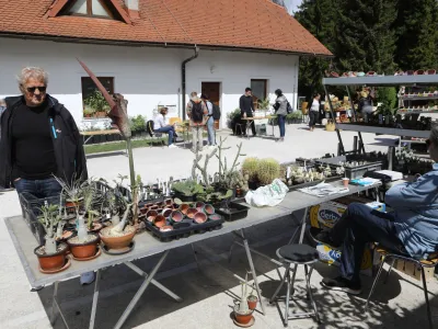 20.04.2024 - Bolj&scaron;ji sejem rastlin - Botanični vrt LjubljanaFoto: LUka Cjuha