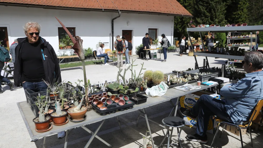 20.04.2024 - Bolj&scaron;ji sejem rastlin - Botanični vrt LjubljanaFoto: LUka Cjuha