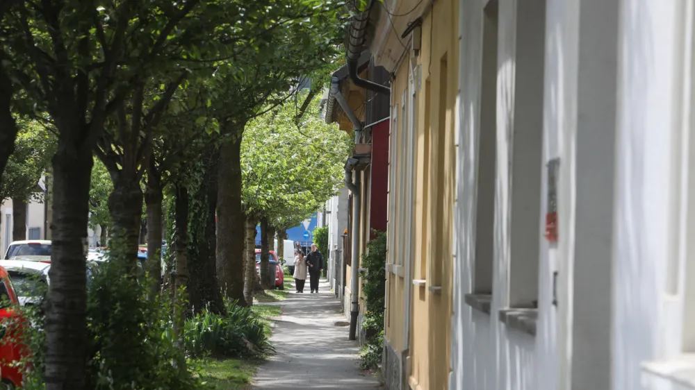 Za drevored leta so prebivalci Ljubljane izbrali drevored japonske če&scaron;nje v Aljaževi ulici. Kot so zapisali pobudniki akcije, je to ena bolj očarljivih ljubljanskih ulic. Foto: Bojan Velikonja