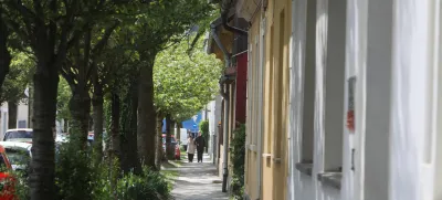 Za drevored leta so prebivalci Ljubljane izbrali drevored japonske češnje v Aljaževi ulici. Kot so zapisali pobudniki akcije, je to ena bolj očarljivih ljubljanskih ulic. Foto: Bojan Velikonja