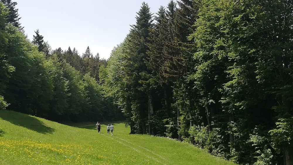 Na Pohorju vetrnic ne bo, so odločeni planinci iz Planinskega dru&scaron;tva Slovenska Bistrica in člani različnih iniciativ. Kot kaže, pa zadnja bitka &scaron;e ni bila izbojevana. Foto: Vesna Levičnik&nbsp;