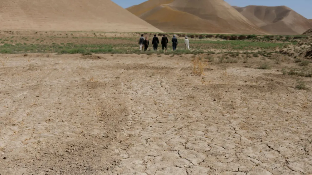 FILE PHOTO: A parched field is pictured in Balkh province, Afghanistan, August 4, 2023. REUTERS/Ali Khara/File Photo