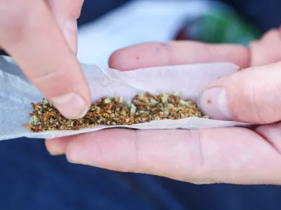 Po podatkih sekcije za klinično toksikologijo pri UKC Ljubljana je pri koncentraciji THC &scaron;tiri nanograme na mililiter krvi sposobnost vožnje manj&scaron;a za tretjino.&nbsp;