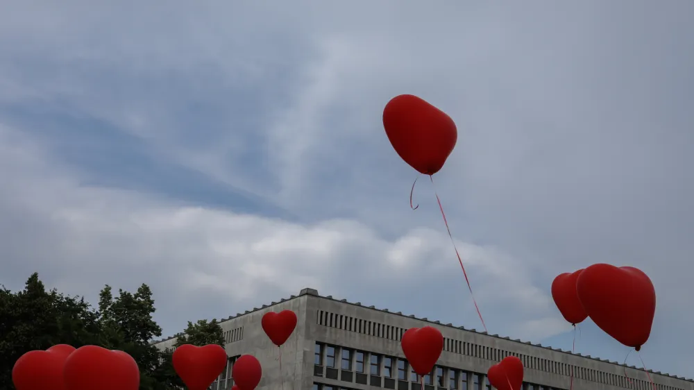 - simbolična fotografija - baloni - srce - parlament - //FOTO: Jaka Gasar