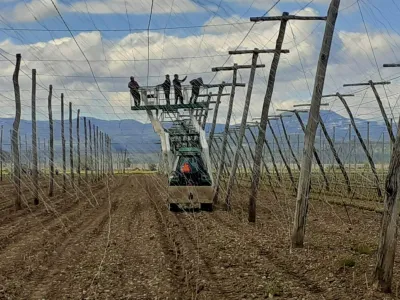 Savinjska dolina je polna romunskih delavcev. Izvajajo spomladanska dela v hmelji&scaron;čih, ki Slovencem ne di&scaron;ijo.&nbsp;