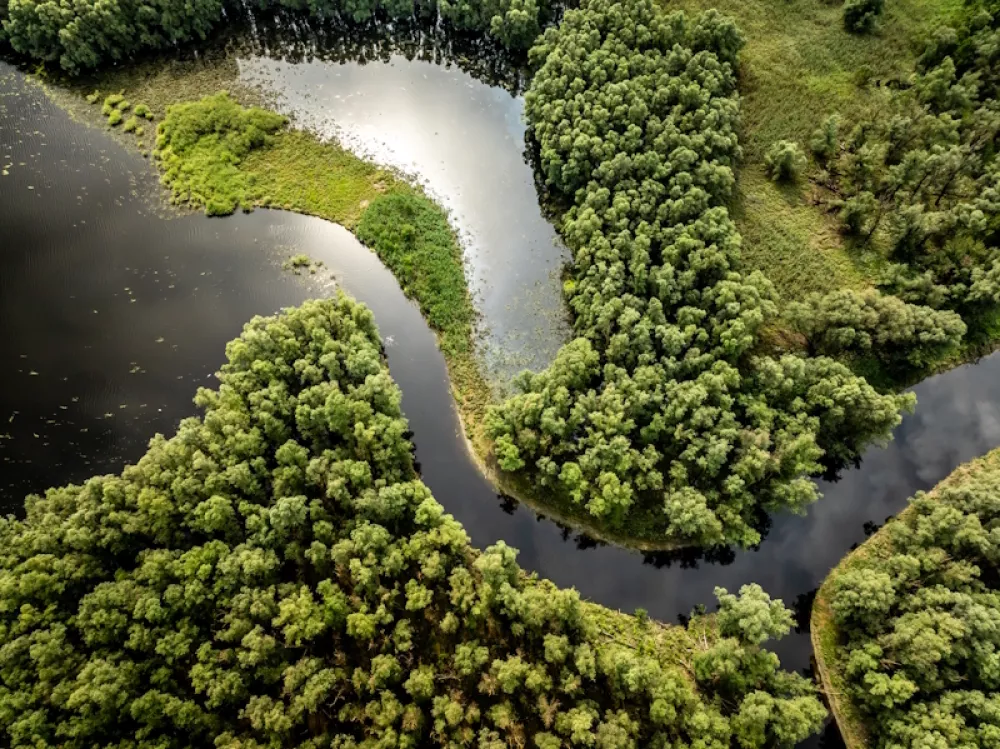 Kopački rit (Foto: Julien Duval)