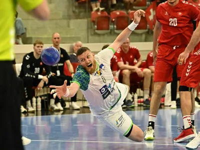 rokomet, blaž blagotin&scaron;ek, slovenija, &scaron;vica