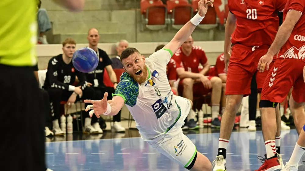 rokomet, blaž blagotin&scaron;ek, slovenija, &scaron;vica