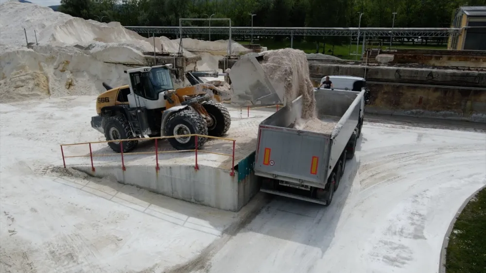 Bela sadra, Cinkarna Celje