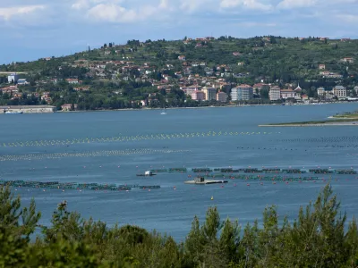 - Piranski zaliv - &Scaron;kolči&scaron;če - Kanegra - - 08.05.2017 - slovensko-hrva&scaron;ka meja - re&scaron;evanje mejnega spora med Slovenijo in Hrva&scaron;ko - arbitražni sporazum za re&scaron;itev vpra&scaron;anja meje s Hrva&scaron;ko - arbitraža -//FOTO: Tomaž SkaleOPOMBA: REPORTAŽA 2017
