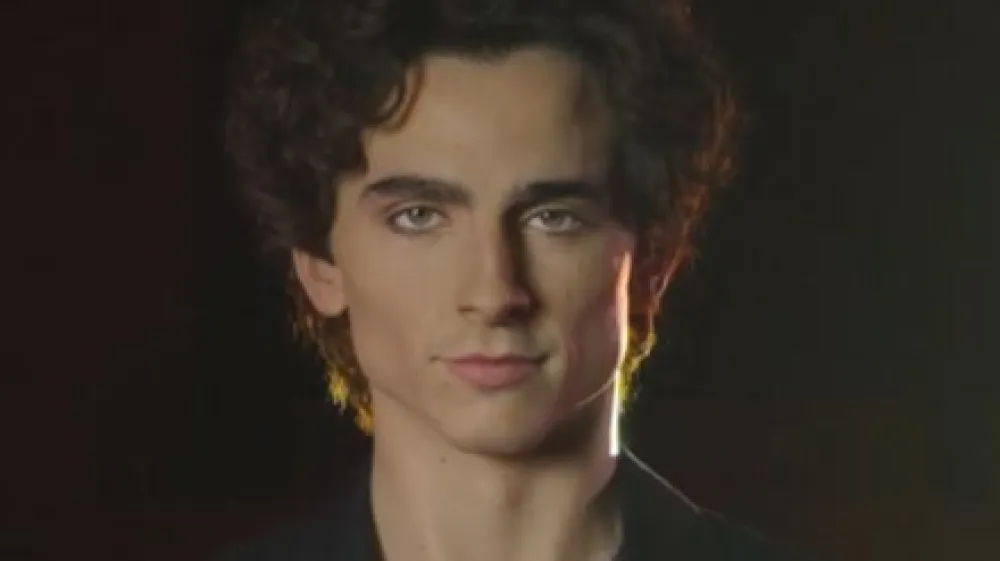 timoth&eacute;e chalamet