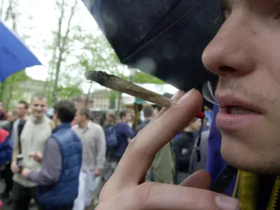 prireditev Prohibicija slepi, prista&scaron; dekriminalizacije uporabe indijske konoplje joint kajenje