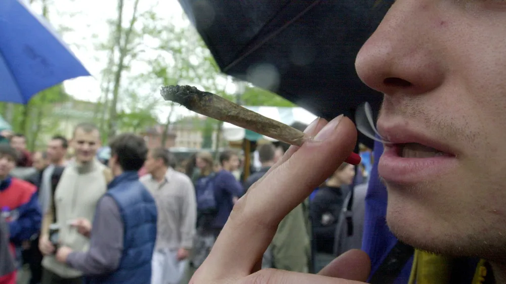 prireditev Prohibicija slepi, prista&scaron; dekriminalizacije uporabe indijske konoplje joint kajenje