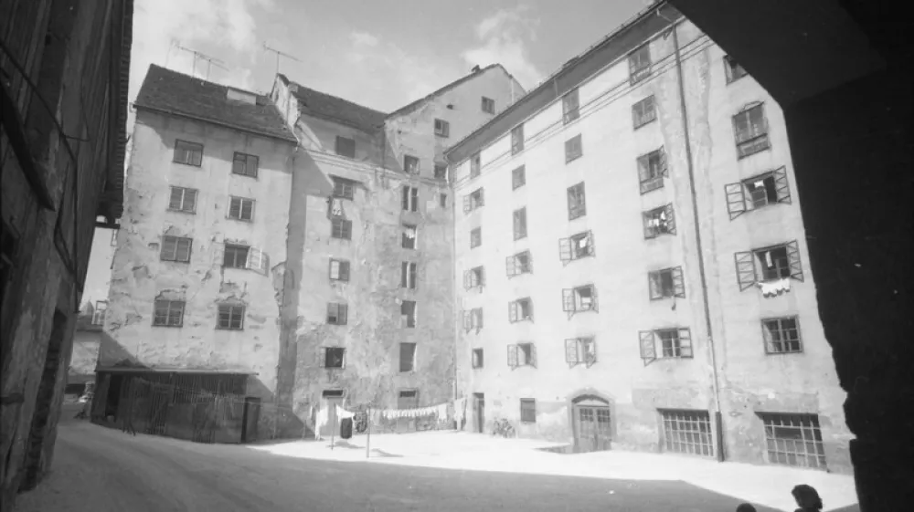 Cukrarna, leta 1967, Marjan Ciglič, hrani MNSZS