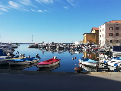 Piranski mandrač Vesna Levičnik