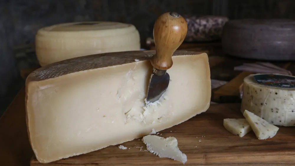 - 12.01.2023 - Kmetija Žerjal, sirarstvo - kozjereja in predelava kozjega mleka - proizvodnja zorjenega&nbsp;kozjega&nbsp;sira, Tomaj 75 B, Dutovlje, KRAS&nbsp;//FOTO: Luka Cjuha