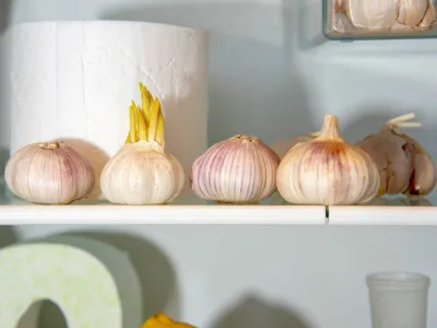 2BA2MT3 A supply of garlic and toilet paper in the refrigerator. A funny photo.