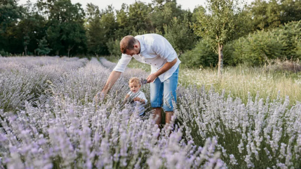 Ekolo&scaron;ka kmetija Koro&scaron;ec Divača