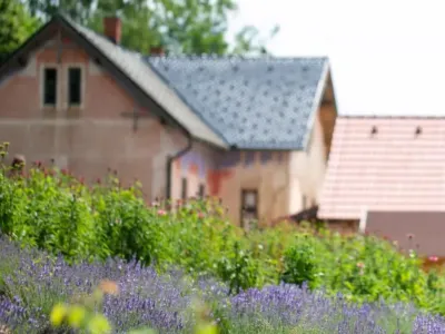 Ekolo&scaron;ka zeli&scaron;čna kmetij Vidov brejg