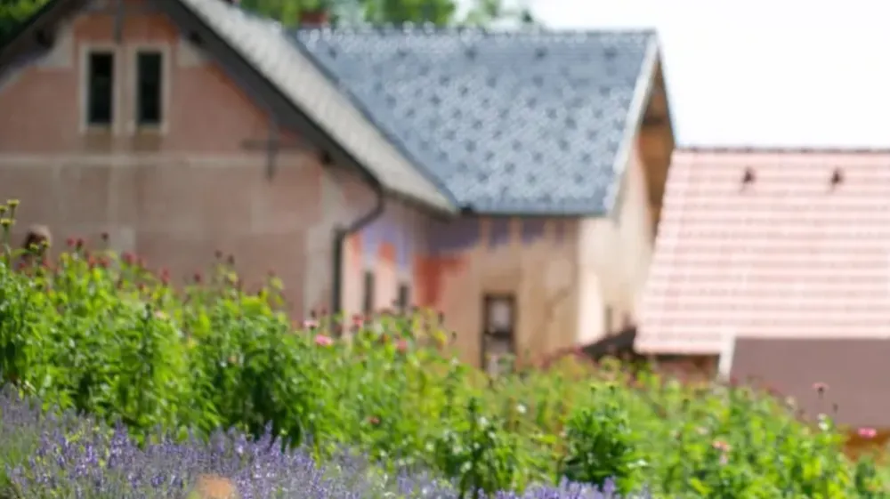 Ekolo&scaron;ka zeli&scaron;čna kmetij Vidov brejg