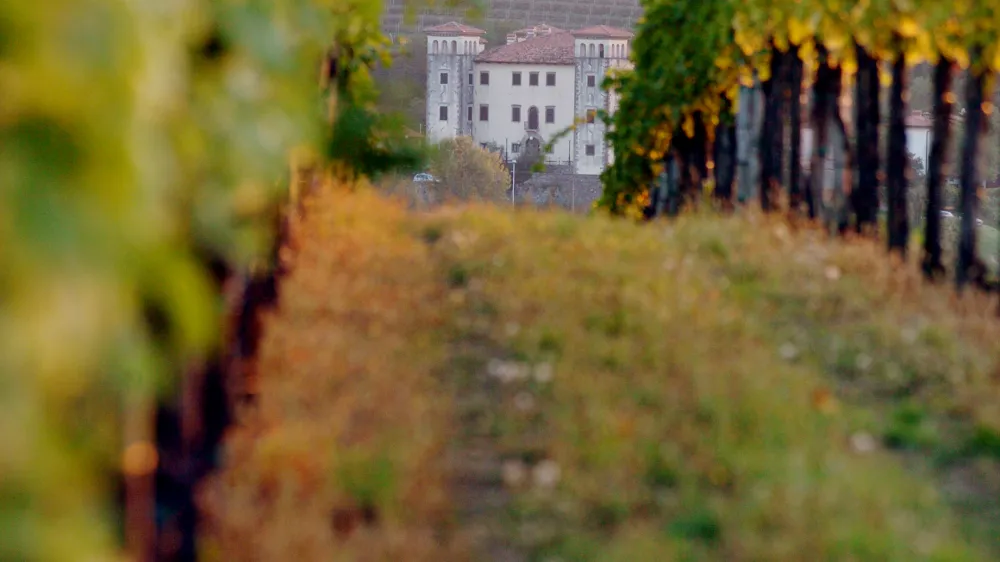 Vinograd in grad Dobrovo &ndash; Brici bodo tudi letos odprli svoje kleti za obiskovalce.&nbsp;