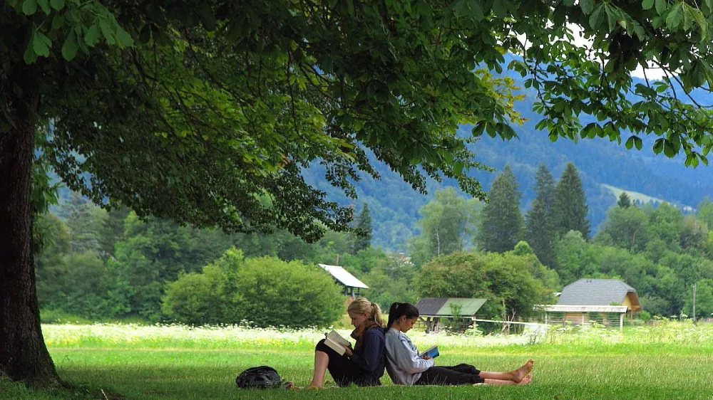 V drugi polovici leto&scaron;njega avgusta bo tak&scaron;no branje pravilo, saj bo čez dan sonce &scaron;e po&scaron;teno gorko. Miha Pav&scaron;ek