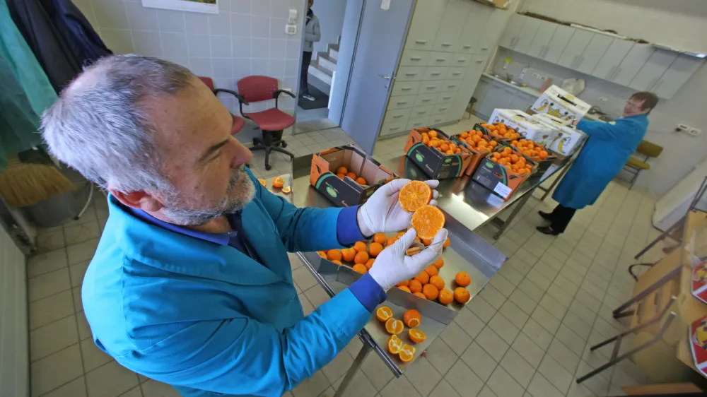 Prek Luke Koper prispe v Evropo veliko sadja in zelenjave izraelskega porekla. Nekaj blaga izvira tudi z območja Palestine. Fitosanitarni in&scaron;pektorji po&scaron;iljke pregledajo.&nbsp;