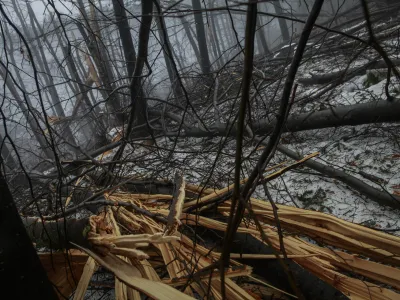 Slovenija bi bila lahko kaznovana za nekaj, na kar nima vpliva, saj v ozadju niso goloseki, devastacije gozdov, marveč naravne katastrofe.Na fotografiji so vidne posledice žledoloma v letu 2014.&nbsp;