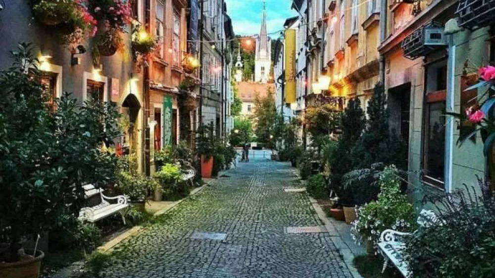 Križevni&scaron;ka ulica, Dan križevni&scaron;kega soseda