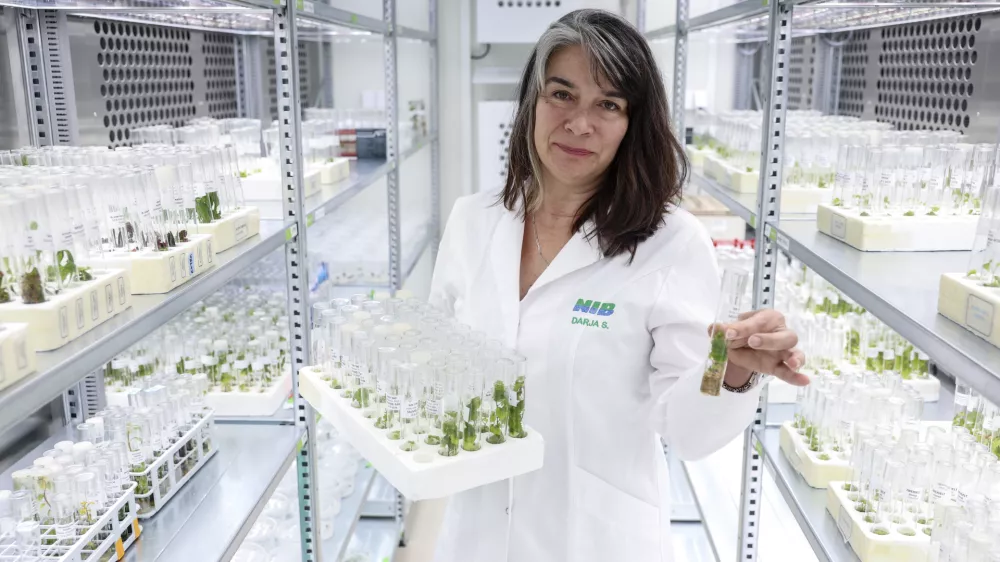 Drarja Stanič- 17.07.2024 - Dobre zgodbe Evrope - Nacionalni in&scaron;titut za biologijo //FOTO: Jaka Gasar / Foto: Jaka Gasar