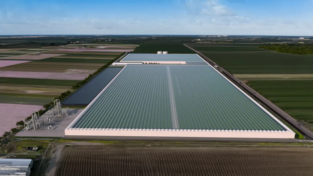 Dobrovnik, steklenjaki, zelenjava. Foto: Skrinja BB