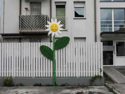 Rojstnodnevni mlaj v naselju na Dolgem mostu.