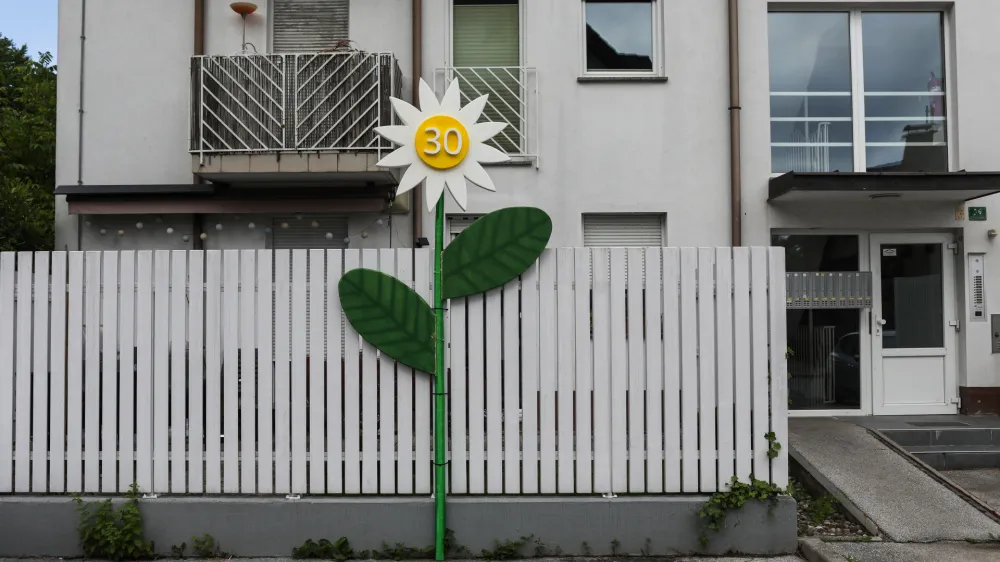 Rojstnodnevni mlaj v naselju na Dolgem mostu.