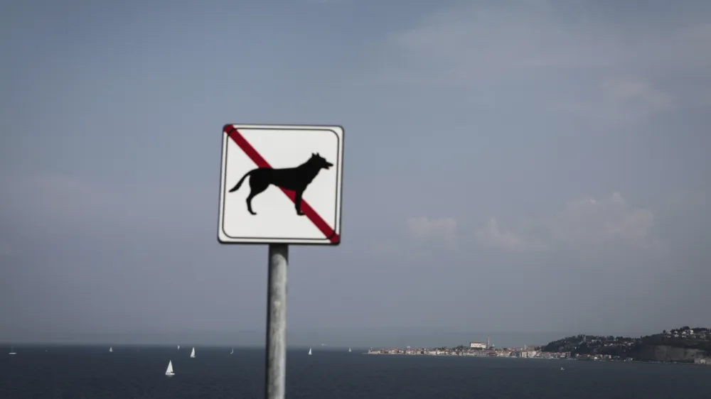 tabla - prepovedano za pse - pes- Piran 2014 - Piranski zaliv - 19 km2 velik zaliv v severnem delu Jadranskega morja, del Trža&scaron;kega zaliva, ki je na severni strani omejen z Rtom Madona, na južni pa s savudrijsklim rtom. Piranski zaliv si delita Slovenija in Hrva&scaron;ka; meja na morju &scaron;e ni določena in je od samostojnosti Slovenije v letu 1991 predmet sporov. Arbitražni sporazum, arbitraža.//FOTO: Luka Cjuha.