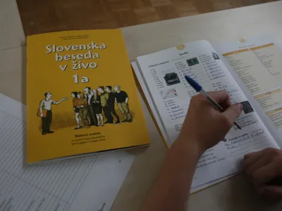 Tujci, ki živijo v Sloveniji, poudarjajo, da je znanje sloven&scaron;čine ključni pogoj za hitrej&scaron;o integracijo v slovensko družbo. Med drugim si želijo, da jim ne bi bilo treba mesece ali celo leta čakati na vpis v tečaj sloven&scaron;čine in da bi se lahko po končani prvi stopnji takoj vključili v nadaljevalni tečaj.&nbsp;