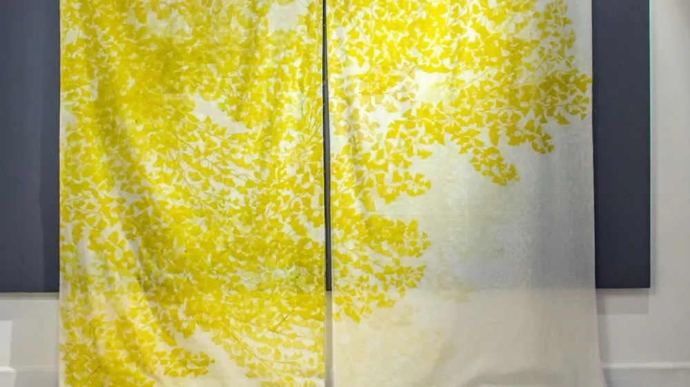 Asako Hi&scaron;iki na 22. Festivalu sodobne umetnosti Art Stays&nbsp;