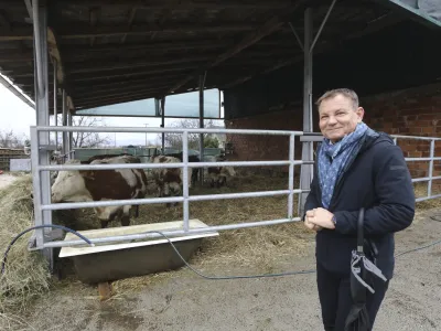 odvetnik Možganovih Franci Matoz,- 18.01.2024 &ndash; Kmetija Možgan, Veni&scaron;e 16, Leskovec pri Kr&scaron;kem &ndash; vrnitev odvzete govedi, ki mu jih je 14. novembra lani zaradi zanemarjanja trajno odvzela veterinarska in&scaron;pektorica  //FOTO: Luka Cjuha