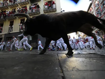 Revelers run with bulls from La Palmosilla ranch during the first day of the running of the bulls at the San Ferm&iacute;n fiestas in Pamplona, Spain, Sunday, July 7, 2024. People test their speed and bravery by dashing with six fighting bulls through the streets of the northern Spanish city of Pamplona. (AP Photo/Alvaro Barrientos)