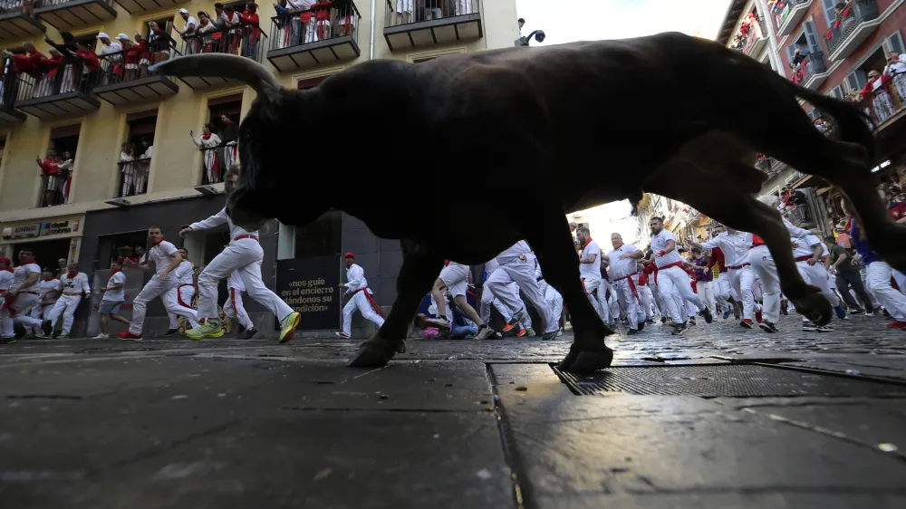Revelers run with bulls from La Palmosilla ranch during the first day of the running of the bulls at the San Ferm&iacute;n fiestas in Pamplona, Spain, Sunday, July 7, 2024. People test their speed and bravery by dashing with six fighting bulls through the streets of the northern Spanish city of Pamplona. (AP Photo/Alvaro Barrientos)