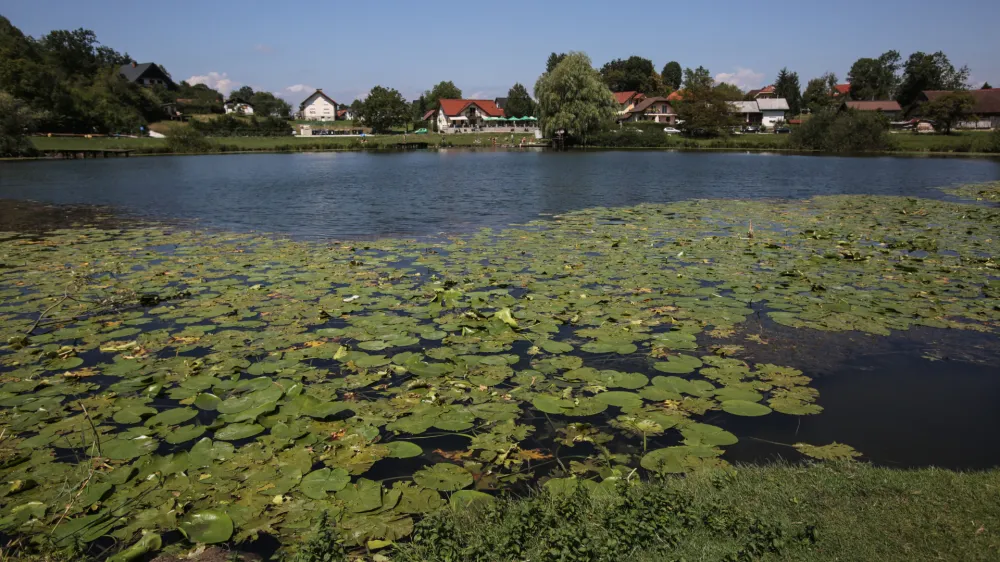 - 16.08.2016 - Podpe&scaron;ko jezero - Podpeč - poletje - naravno kopali&scaron;če - kopalci kopanje - počitnice   //FOTO: Luka Cjuha.