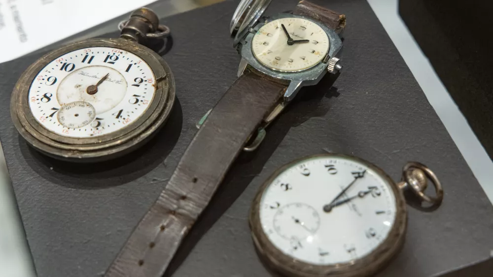 Človek in čas, SEM, ura, ročna ura, žepna ura, simbolična fotografija čas