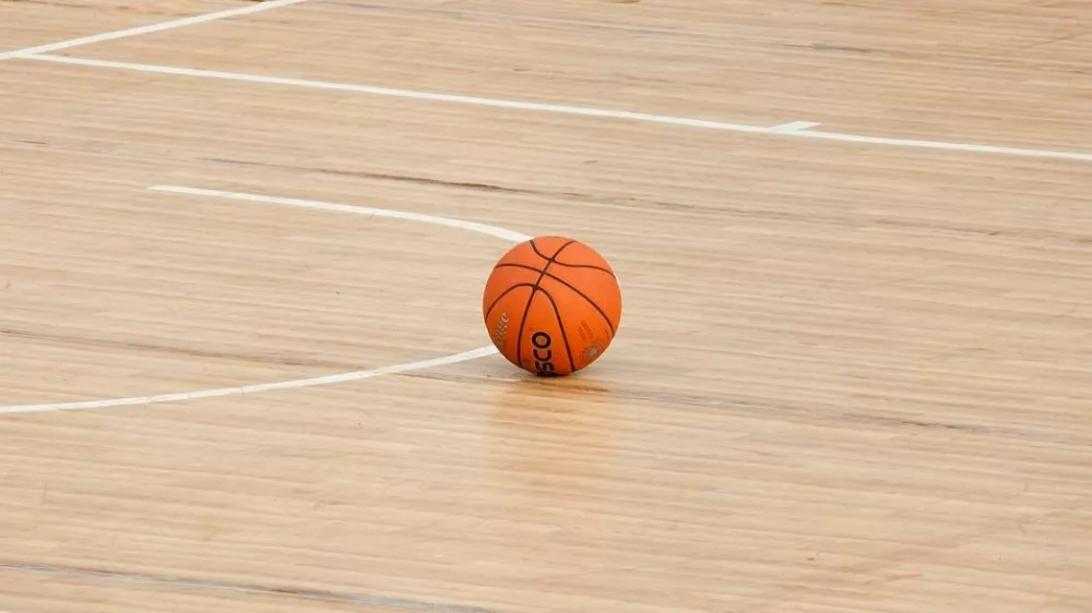 Ko&scaron;arkarska žoga