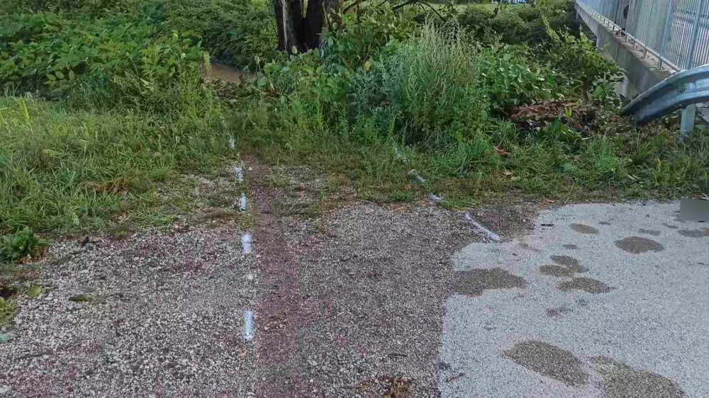 Voznik zapeljal v reko.