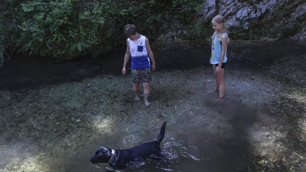 Zaradi dostopnosti ponuja potok Bela prijetno ohladitev tudi za kosmatince. Foto: Jaka Gasar